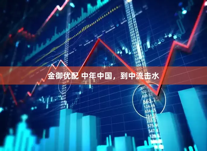 金御优配 中年中国，到中流击水