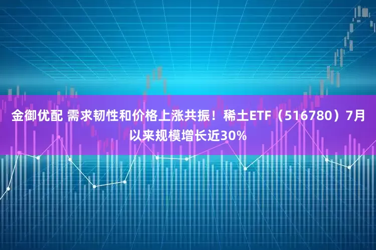 金御优配 需求韧性和价格上涨共振！稀土ETF（516780）7月以来规模增长近30%