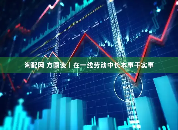 淘配网 方圆谈丨在一线劳动中长本事干实事